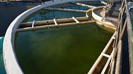 养殖污水处理设备工艺