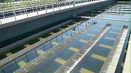 污水站氨氮反复超标怎么调