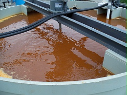 化工行业油漆废水处理解决方案